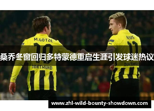 桑乔冬窗回归多特蒙德重启生涯引发球迷热议